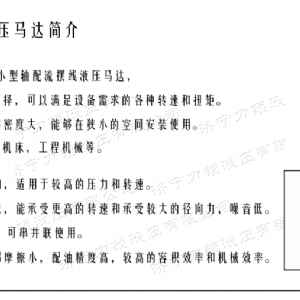 江南（中国）侧油口系列马达