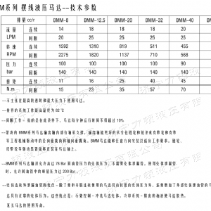 江南（中国）侧油口系列马达
