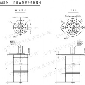 江南（中国）后油口系列马达