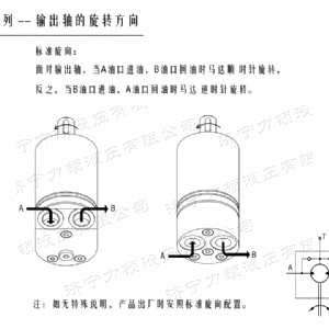 江南（中国）后油口系列马达