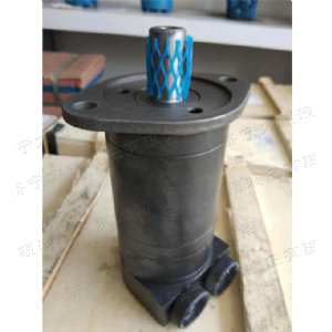 江南（中国）侧油口系列马达