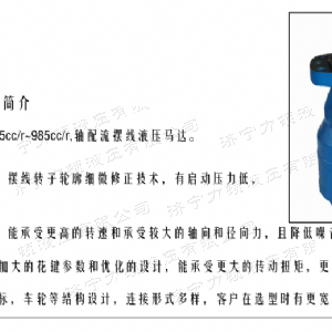 BMH系列并列油口江南手机网页版登录入口马达