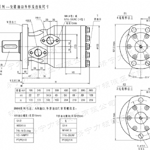 BMH系列交错油口江南手机网页版登录入口马达